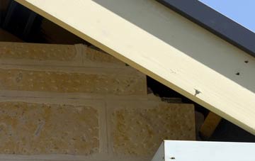 soffit repair Roch Gate