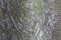 Roch Gate fibreglass roof work